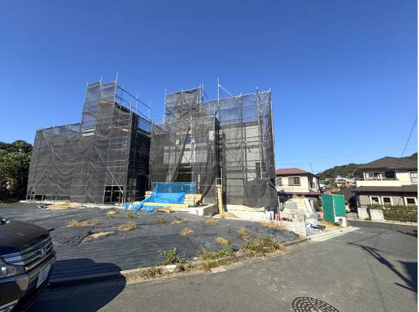 角地で陽当たりもご覧の通り。