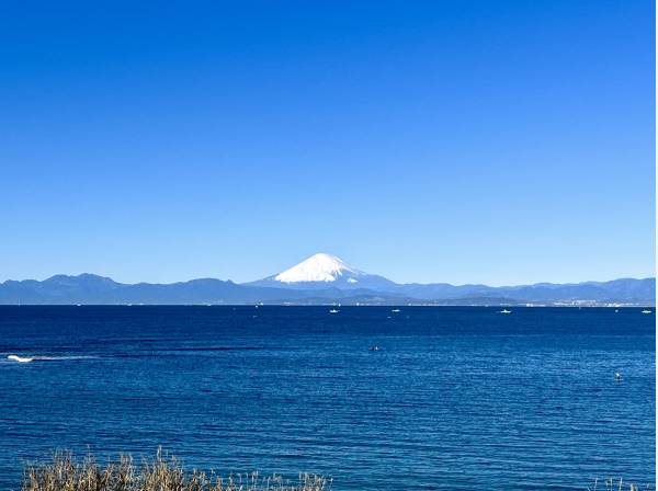 長者ヶ崎海岸からの眺望 (約220ｍ)