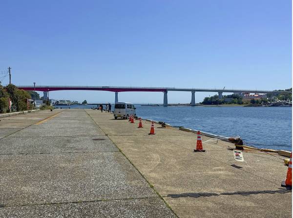 道路向かいの花暮岸壁から望む城ヶ島大橋。釣人がいっぱいいました。