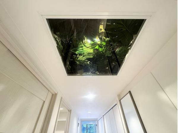 南国ムード溢れる葉の陰影が寄り添う豊かな玄関スペース