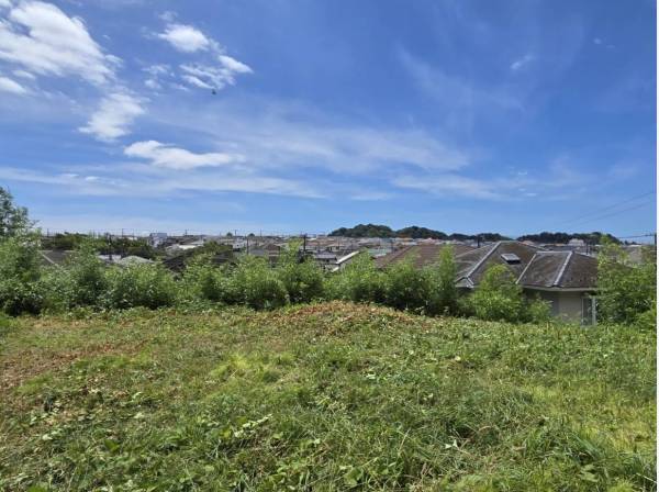 日当たり良好なため、植物がすぐに成長してしまいます