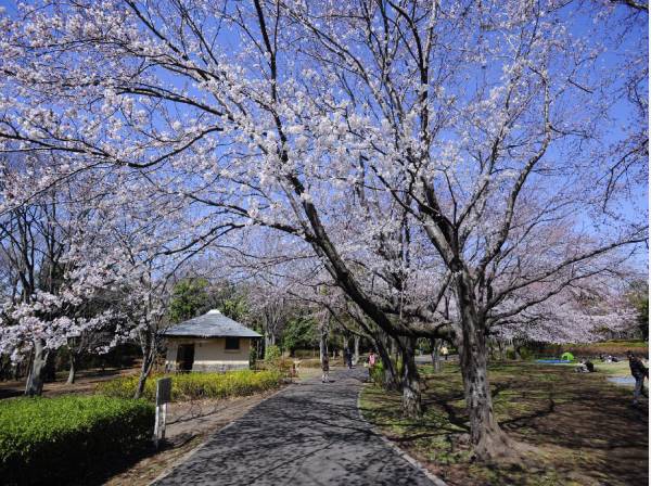 大庭城址公園まで270ｍ/徒歩4分