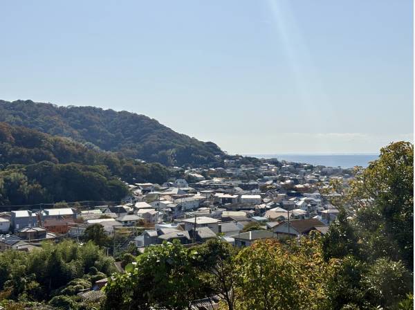 緑と海を眺めます。