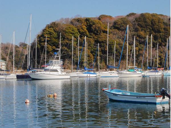 目の前は小網代湾です
