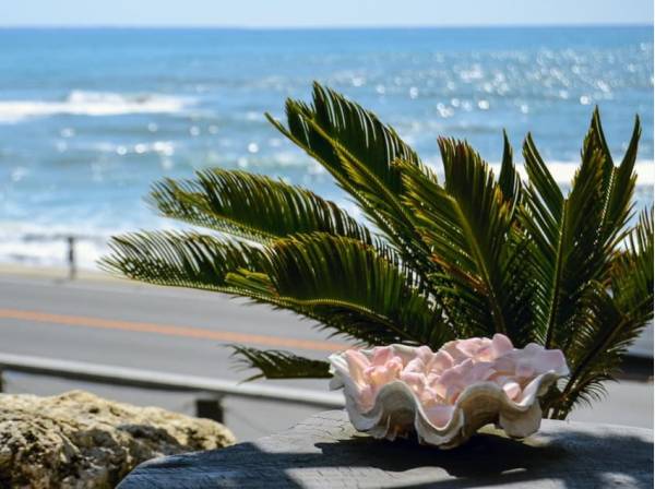 海のある暮らしを満喫してください（イメージ）