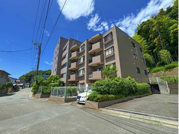 前面道路はゆったり目。交通量は比較的少ないです。