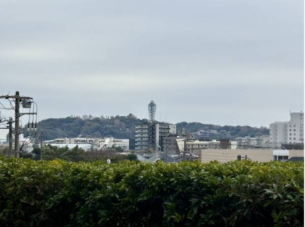 江ノ島を眺めます。