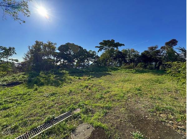 敷地内はおおむね平坦な状態です。建築プランも入れやすそう。