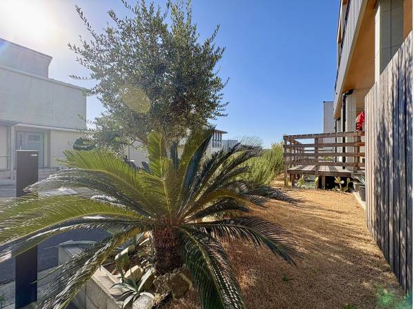 ソテツが可愛いミニガーデンはお好みにアレンジしてください