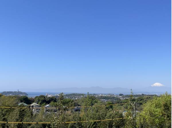 緑溢れる街並みの先には、海、そして江ノ島が浮かびます