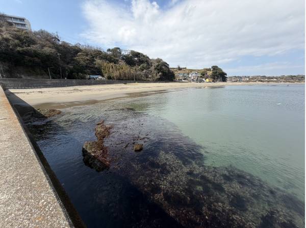 ワカメがゆらゆらと♪お魚も沢山見えるので釣りが出来ます！