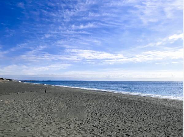 海まで徒歩4分　約300ｍ