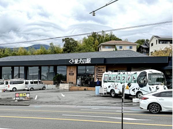 ドッグ＆カフェ愛犬の駅 伊豆高原まで約5.5ｋｍ（お車で約9分）