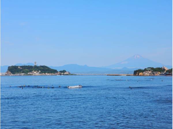 七里ガ浜海岸まで約800ｍ
