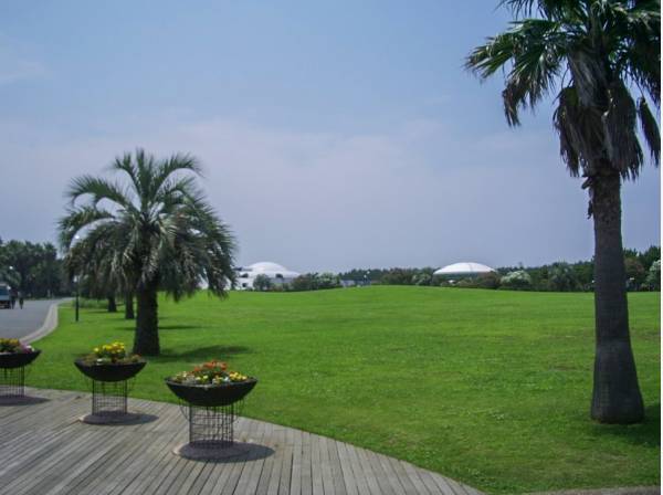 辻堂海浜公園まで徒歩7分（約500ｍ）