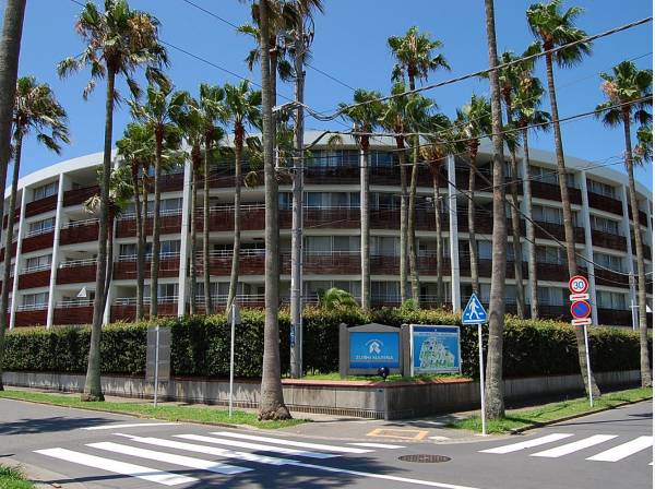 青空や木々の中で一際映える白×赤褐色の外観