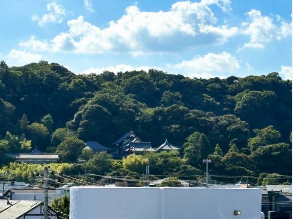 バルコニーからはなんとふかふかの緑に包まれる長谷寺も‥