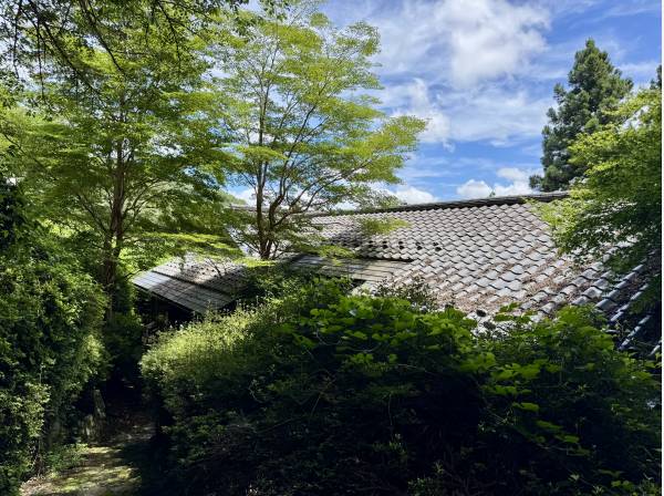 森と暮らす。木々と暮らす。