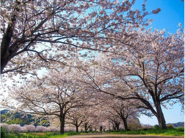 引地川親水公園　徒歩5分/約350ｍ