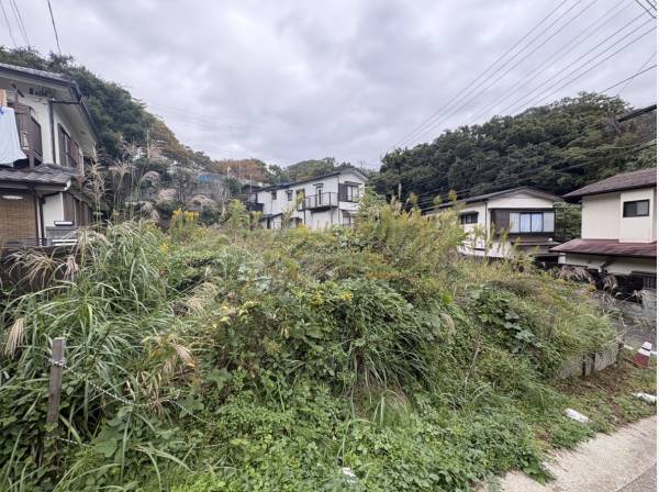 豊かな緑と住宅が織りなす街並み、自分らしい鎌倉暮らしを描く。