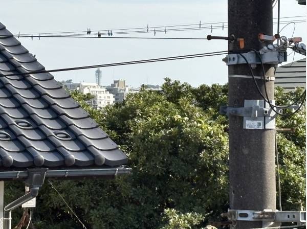 バルコニーから江の島の展望台が少し見えます！