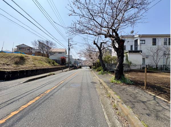 桜並木に寄り添うロケーション