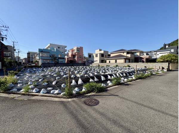 陽当たり良好な現地です。