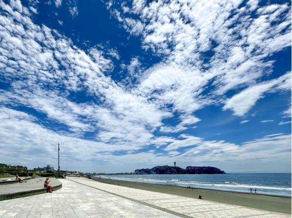 湘南海岸公園まで徒歩5分（約400m）