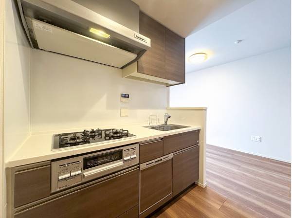 食洗機付きのシステムキッチンが設置されています