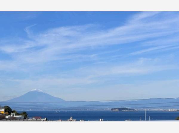 2階レベルからの眺望