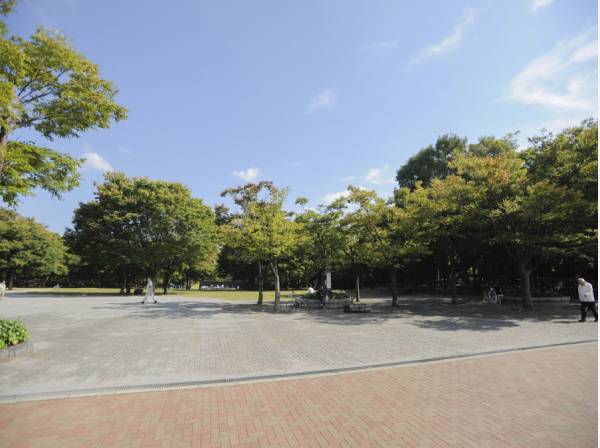 マンションに隣接した茅ヶ崎中央公園