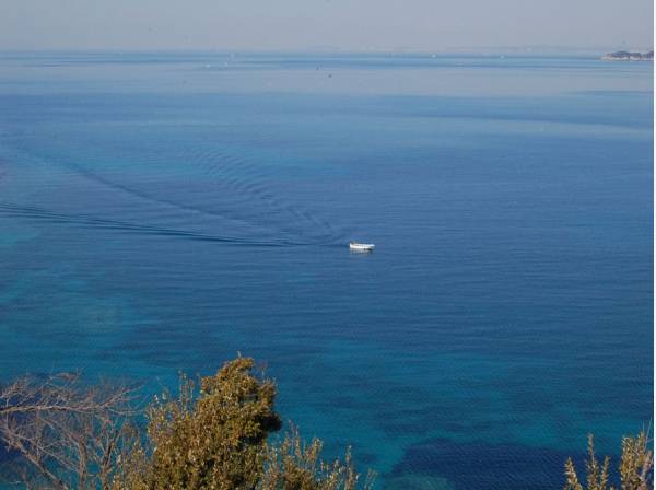 澄んだブルーが心を癒してくれます(イメージ)