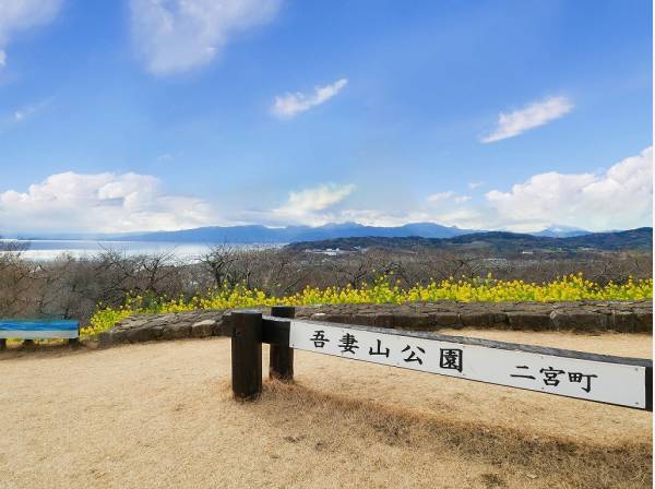 こちらは現地から徒歩7分の吾妻山公園（約560m）菜の花と海景色の名所