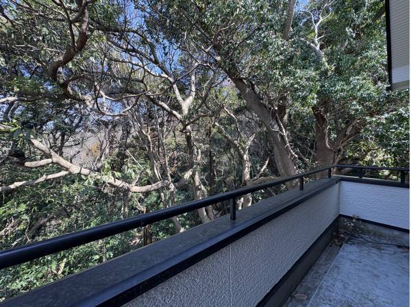 両面バルコニーのため自然を満喫できます！