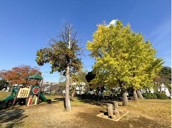第一運動公園まで徒歩11分（約820m）
