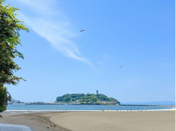 腰越海岸まで約350ｍ