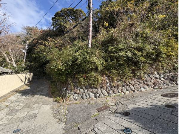 ゆとりある敷地は２００坪超。手つかずの土地が残っています