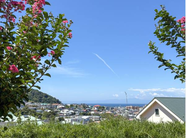 緑と海の青さのコントラストが美しい (約210ｍ)