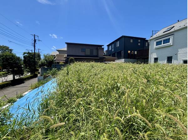 広々としています。