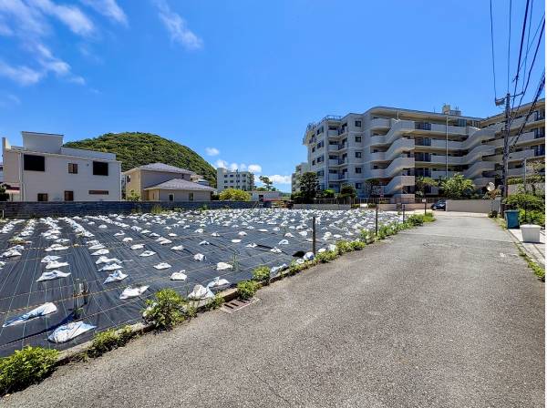 南西・南東道路に囲まれた陽当たりの良い角地