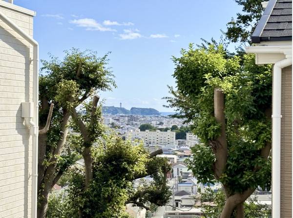 木々の間から江の島と海を遠望できます！