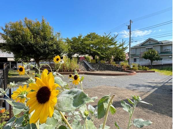 マンション隣接の公園 その他生活施設も徒歩圏内に充実！
