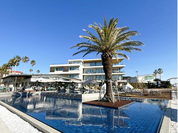 逗子マリーナまで約1.7km（自転車で約8分）