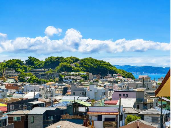 湘南の豊かな緑を望む眺望。四季折々の景色を日常で楽しめます。