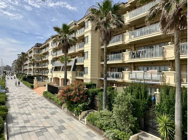 リゾートライクな外観/湘南の海岸線に映える佇まいです