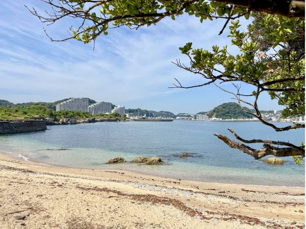 燈明堂海岸まで徒歩14分 (約1.1㎞)