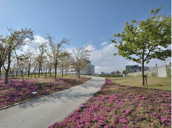さくら広場まで徒歩9分（約700m）