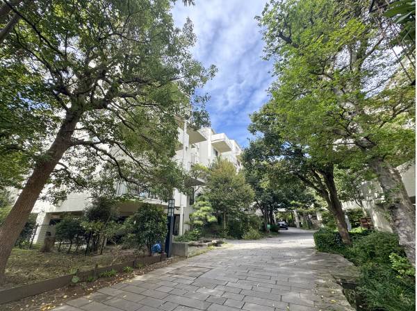 マンション敷地内にもたくさんの緑が植えられています