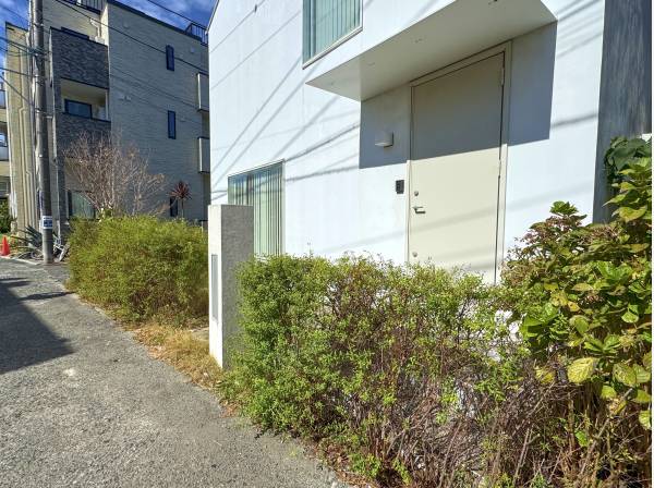 玄関周り。鎌倉は敷地内に緑を植えるのがスタンダード。