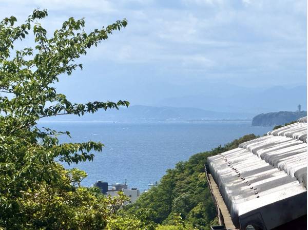 江ノ島も見えました